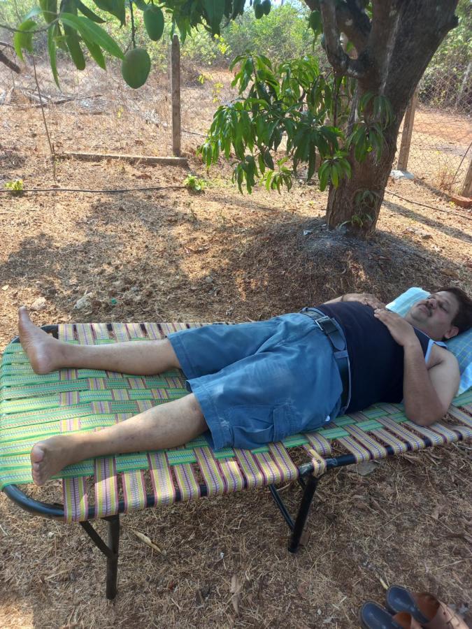 Misty Woods Eco Cottages Harihareshwar Экстерьер фото